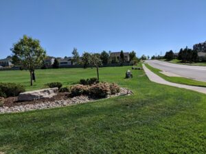 Suburban landscape with road and green lawns.